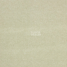 Ковролин AW Sentiment 20 фото 1 | FLOORDEALER